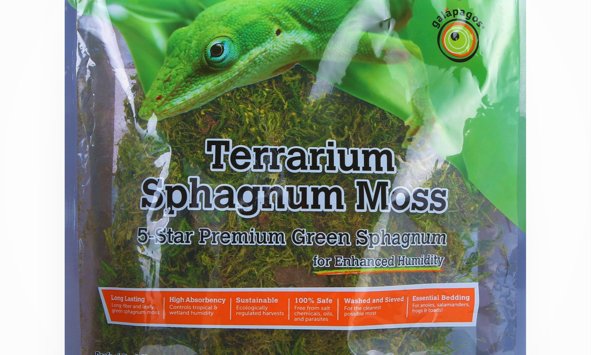 green sphagnum moss